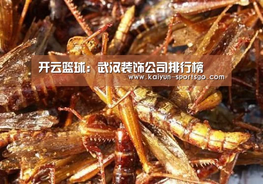 开云赛事