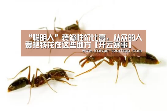 “聪明人”装修性价比高,从众的人爱把钱花在这些地方【开云赛事】(图2) 开云足球