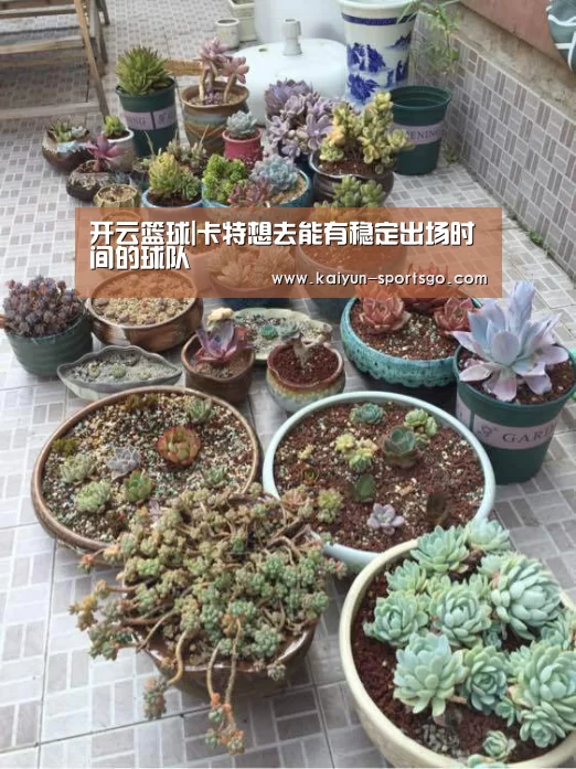 开云篮球|卡特想去能有稳定出场时间的球队(图2) 开云足球