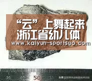 “云”上舞起来 浙江省幼儿体育大会成功举办:开云赛事(图1) 开云体育