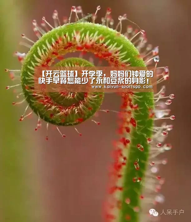 开云赛事