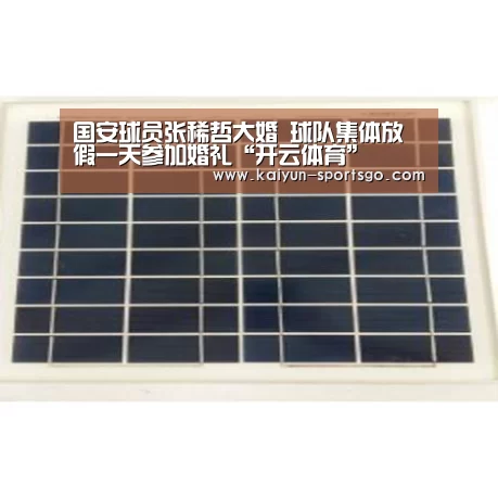 国安球员张稀哲大婚 球队集体放假一天参加婚礼“开云体育”(图4) 开云赛事