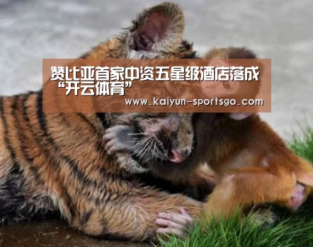 赞比亚首家中资五星级酒店落成“开云体育”(图1) 开云篮球