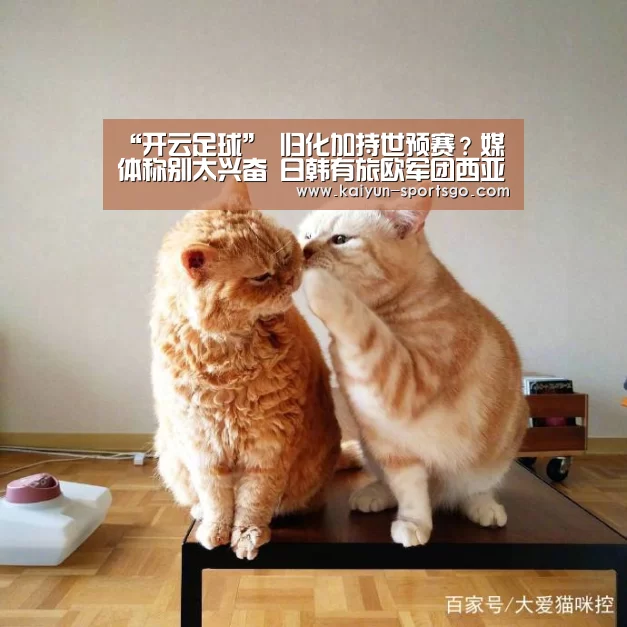 “开云足球”
归化加持世预赛?媒体称别太兴奋 日韩有旅欧军团西亚也爱归化(图3) 开云足球